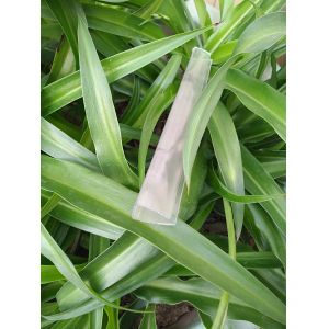 Buy cheap 4-16MM Thickness 6M Length 16mm Polycarbonate U Profile from wholesalers