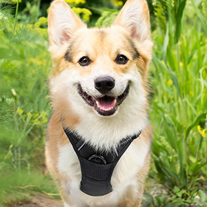 Buy cheap Custom No Pull Pet Harness vest Reflective Tactical Breathable S M L For puppy from wholesalers