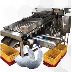 Buy cheap Seafood Processing Shrimp Grading Machine 6000x3200x2200mm Stable from wholesalers