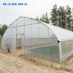 Buy cheap Gothic High Tunnel Vegetable Film Hydroponics Single-Span Greenhouse Construction from wholesalers