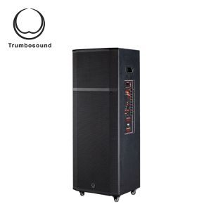 15 Inch Multifunction Mobile Speaker With Wheels Guitar Trolley Loudspeaker