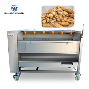 Buy cheap Potato Carrot Brush Cleaning And Peeling Machine 1200-1500KG/H from wholesalers