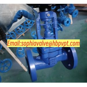 GS-C25 PN16/PN40 cast steel bellows globe valve