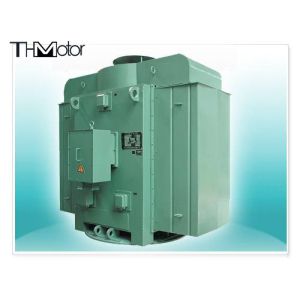 Power Plant Electric Three Phase Asynchronous Motor IEC GB