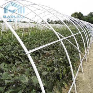 China Winter Garden Plant Solar Warm Tunnel Plastic Greenhouse With Heater on sale