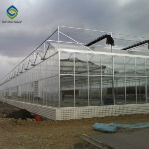 Buy cheap 6m Vegetable Plant Commercial Hermetic Glass Greenhouse Multi Span from wholesalers