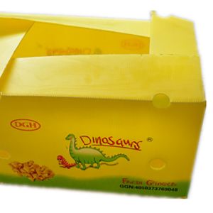 Buy cheap Fruit Vegetable Packing PP Cartonplast Grapes Packing Boxes Plastic Broccoli Boxes Corrugated Ginger Sheet from wholesalers