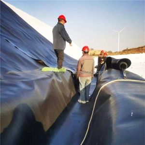 Buy cheap Hdpe Geomembrane Liner Geomembranas For Environmental Projects Waterproof Geomembranes from wholesalers