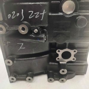 DAYANG Tricycle 800cc Water-Cooled Engine Spare Parts Casting Cylinder Block 4