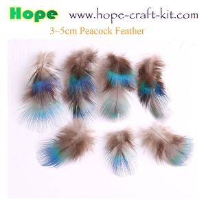 Buy cheap Peacock feathers, goose feathers, turkey chicken feathers for hobbies and children kids STEM hand-crafted DIY material from wholesalers