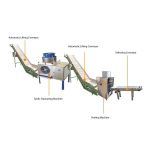 Buy cheap fully automatic garlic peeling machine garlic peeler processing production line from wholesalers