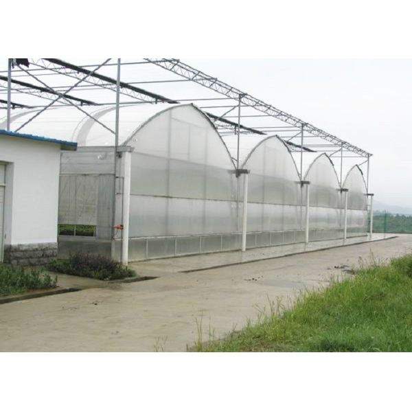 Buy cheap Vegetable Agriculture Polyethylene Film Greenhouse Great Space Efficient Performance from wholesalers