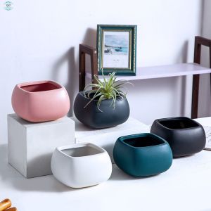 Customizable Ceramic Pots To Meet Your Specific Planting Requirements