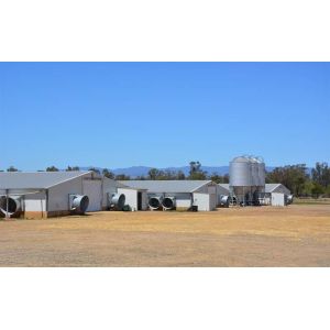 Buy cheap Prefab Steel Industrial Building Warehouse Shed Q235B Q355B from wholesalers