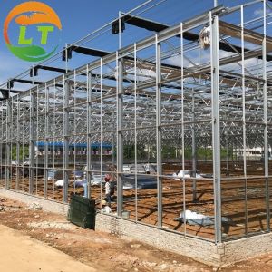 Buy cheap Multi-Span Large Agricultural Greenhouses with Hidroponic System from wholesalers