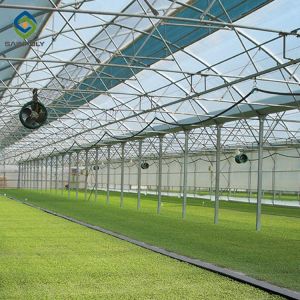 Buy cheap Multi Span 3.0m Arch Polycarbonate Greenhouses from wholesalers