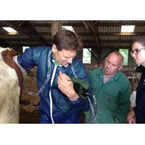 Mini Veterinary Ultrasound Scanner