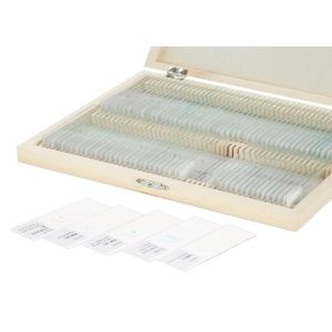 Buy cheap 100 Pieces Botany Epidermis Microscope Slides Optical Glass Material Made product