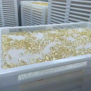 Buy cheap Various Color Plastic Drying Trays And Trolly Food Grade PPE Material 75 * 55 * 5cm from wholesalers