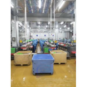 Buy cheap fish shrimp Processing plant production line feeder electric raw material pouring platform Factory direct sales from wholesalers