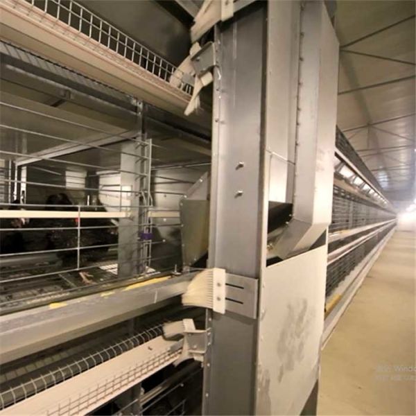 Buy cheap Indoor Bird Cage With Breeding Box , Wire Chicken Cage With Drinking System from wholesalers