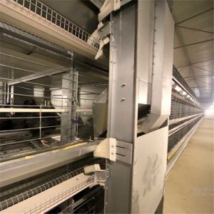 Buy cheap Indoor Bird Cage With Breeding Box , Wire Chicken Cage With Drinking System from wholesalers