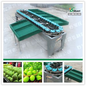Buy cheap Guava/Apple/Pear/Mango/Tomato/Potato weight grading machine from wholesalers