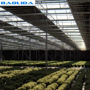 Buy cheap Agriculture Automated Blackout Greenhouse / Plastic Polythene Grow Tunnel from wholesalers
