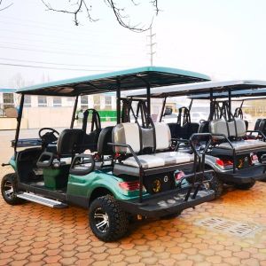 Buy cheap Lithium 6 Seater Golf Cart LSV Vehicle For Tournament from wholesalers