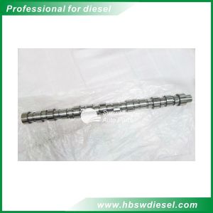 Buy cheap Cummins M11 Diesel Engine Camshaft Replacement 4004556 3087856 Available from wholesalers
