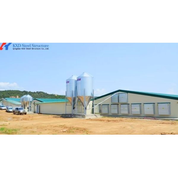 Buy cheap Double Light Steel Structure Chicken House with Fully Automatic Equipment from wholesalers