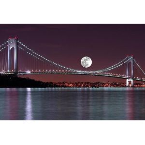 Buy cheap Prefabricated Wire Suspension Bridge Multi Span Customized Construction European Style from wholesalers