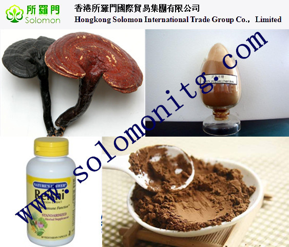 Buy cheap high quality Ganoderma lucidum Extract/ Reishi Extract/Reishi Mushroom Extract from wholesalers