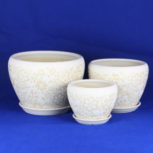 Transform Your Garden With Our Stylish And Durable Ceramic Pots Shop Now