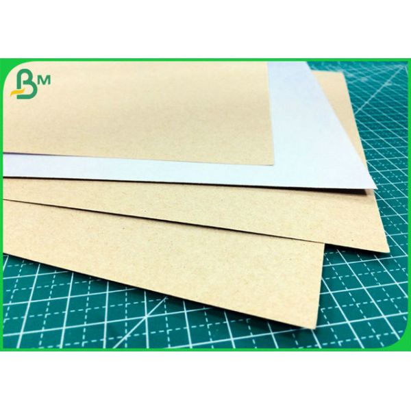 One Side Coated 300GSM Duplex Board White Back With FSC Certification