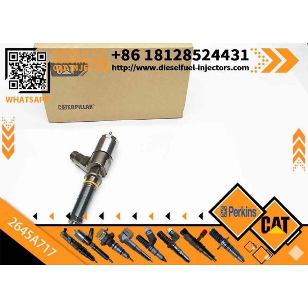 Quality New Diesel Common Rail Fuel Injector 317-2300 3172300 2645A717 for C4/C6 engine in stock for sale