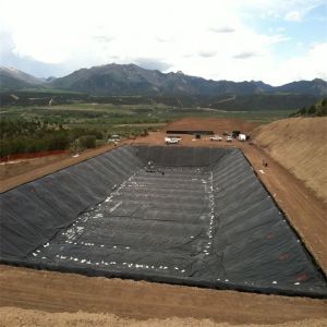 Industry Black HDPE/LDPE/LLDPE Geomembrane 1m-8m Width for UV Protection