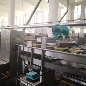 CE Fried Instant Noodles Manufacturing Plant Auto Large Capacity