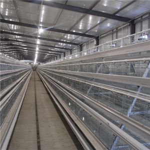 Buy cheap A Frame Broiler Chicken Cage System Hot Dipped Wire Mesh from wholesalers