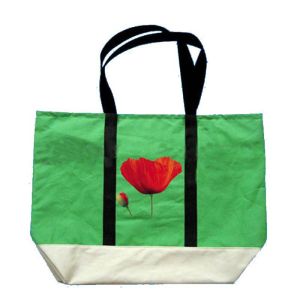 Buy cheap Customized Green Non Woven Grocery Bags with Silk Screen Printed Logo from wholesalers