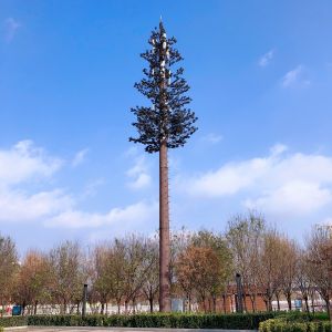 Buy cheap Radio WiFi 4G Cell Phone Bts Monopole Telecom Tower from wholesalers