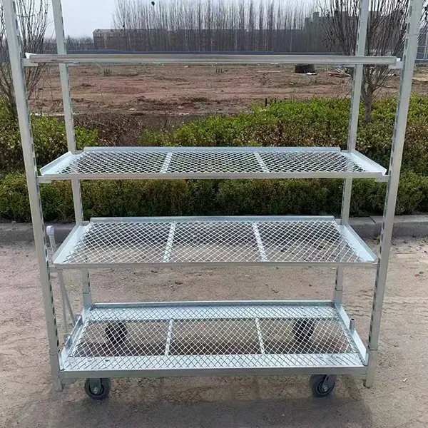 Buy cheap Hot Dip Galvanizing PP Caster Greenhouse Harvest Trolley 1350*565mm from wholesalers