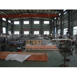 220V 2kw Laundry Detergent Tablet Packing Machine