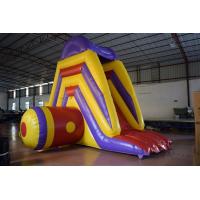 Buy cheap Big Commercial Inflatable Water Slides For Pool Short 5 - 8 Kids Capacity product