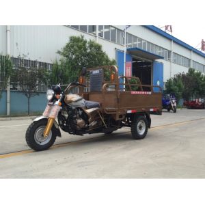 Buy cheap Petrol 3.4m*1.2m Three Wheel Cargo Motorcycle from wholesalers