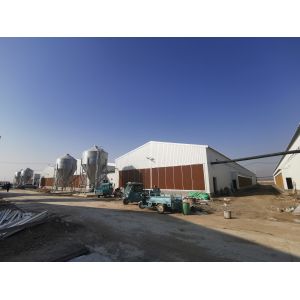 Buy cheap Galvanized Full Antomatic Steel Poultry Farm Shed Bird House Prefabricated from wholesalers