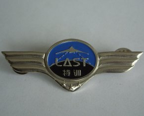 Buy cheap Gold / silver / nickel size custom lapel pin badge from wholesalers