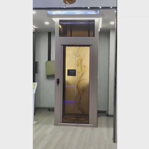 Buy cheap Comfortable Home Pitless Hydraulic Elevator Single Or Double Well Shaft Type from wholesalers