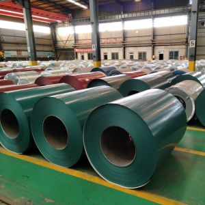 Buy cheap AISI ASTM Prepainted Galvanized Steel Coils DX51D DX52D DX53D from wholesalers