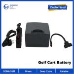 Buy cheap OEM ODM LiFePO4 lithium battery pack Custom Golf Trolley Battery 24v 10ah Remote Control Electric Scooter battery from wholesalers